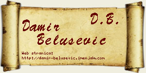 Damir Belušević vizit kartica